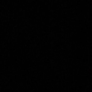 Meet your Posher, Priscilla